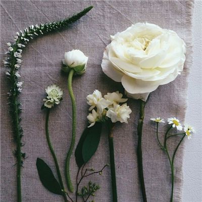 爱体育官方截图